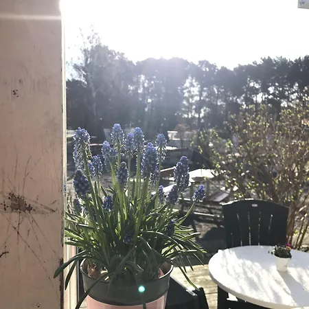 Ronne Vandrerhjem Hostal