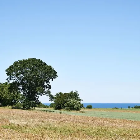 Hostal Ronne Vandrerhjem