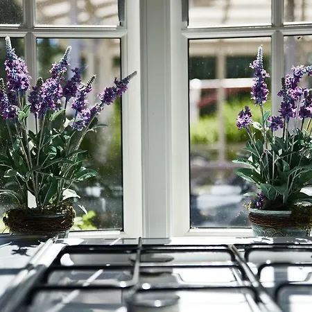 ダンホステル レネ * レンネ