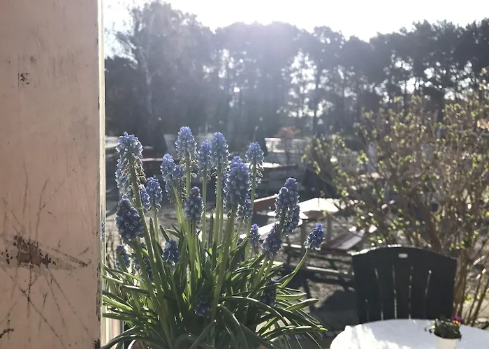 Ronne Vandrerhjem Hostel