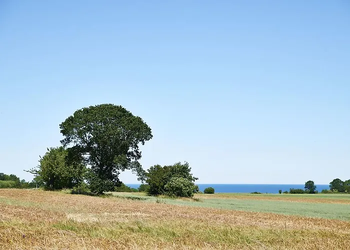 호스텔 Ronne Vandrerhjem