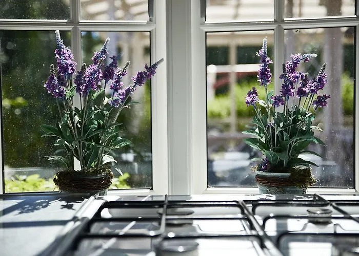 Ronne Vandrerhjem * 론네